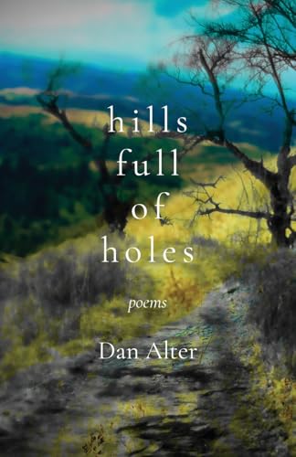 Hills Full of Holes: Poems von Fernwood Press
