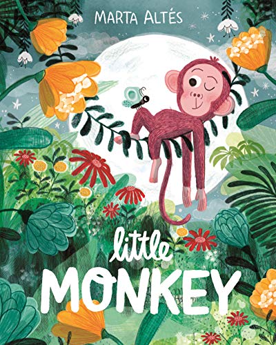 Little Monkey von Macmillan Children's Books