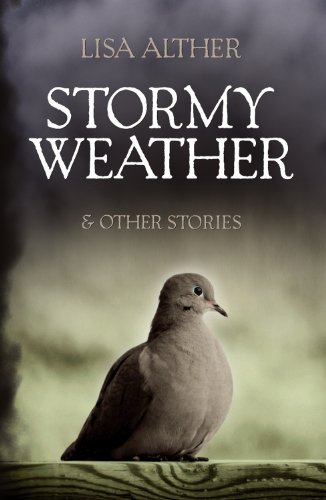 Stormy Weather & Other Stories von Mercer University Press
