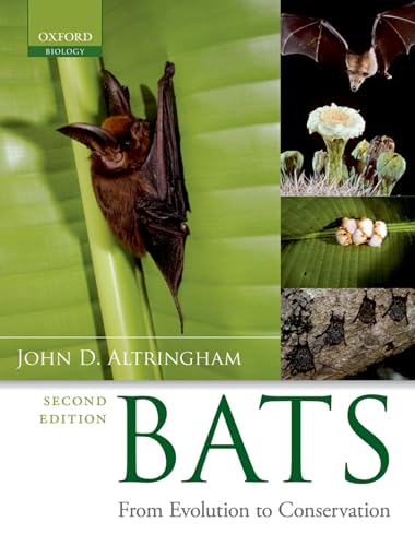 Bats: From Evolution to Conservation