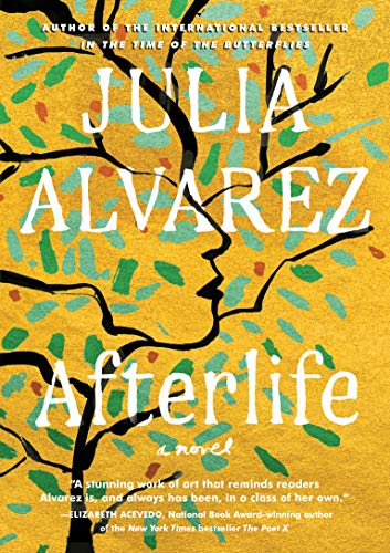 Afterlife: A Novel von Algonquin Books