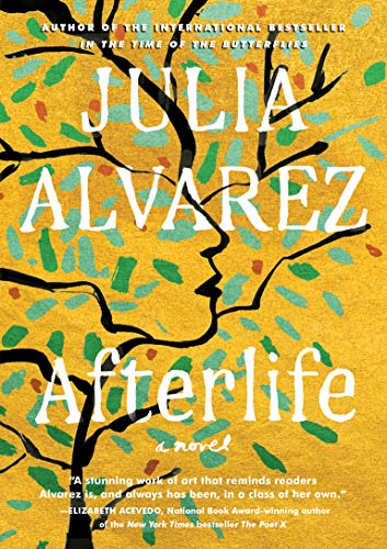 Afterlife: A Novel