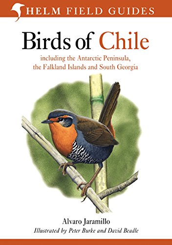 Birds of Chile: Including the Antartic Peninsular, the Falkland Islands and South Georgia (Helm Field Guides)