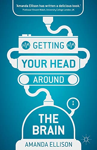 Getting your head around the brain von Palgrave