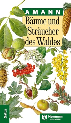 Bäume und Sträucher des Waldes von J. Neumann-Neudamm Melsungen