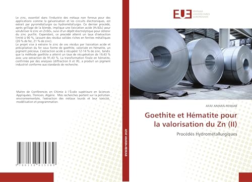 Goethite et Hématite pour la valorisation du Zn (II): Procédés Hydrométallurgiques von Éditions universitaires européennes