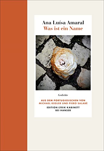 Was ist ein Name: Gedichte. Edition Lyrik Kabinett von Hanser, Carl GmbH + Co.