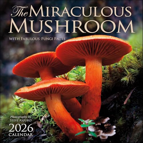 The Miraculous Mushroom 2026 Wall Calendar: With Fabulous Fungi Facts von Amber Lotus Publishing