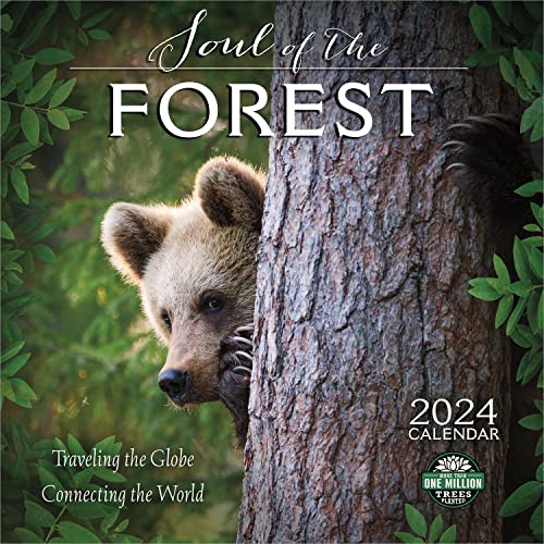 Soul of the Forest 2024 Calendar: Traveling the Globe, Connecting the World von Amber Lotus