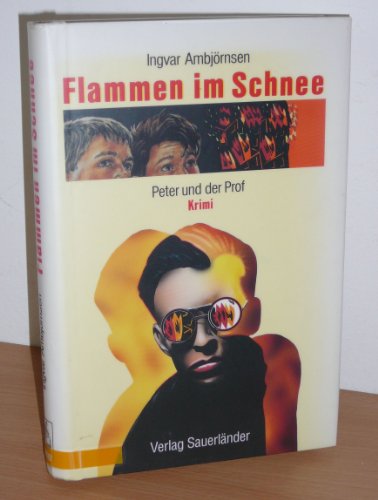 Flammen im Schnee: Krimi