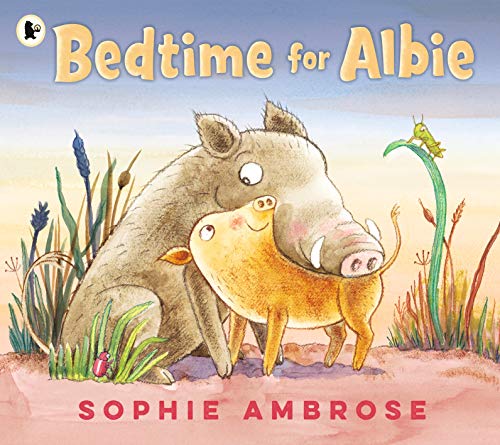 Bedtime for Albie von WALKER BOOKS