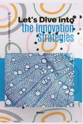 Let's Dive into The Innovation Strategies (TOWARDS VALUE-BASED MANAGEMENT FOR INDUSTRIAL AND SECTORAL ECONOMIES?, Band 45)