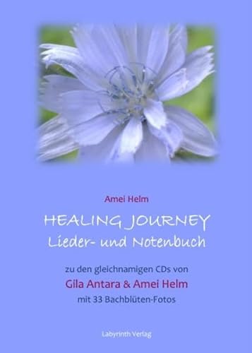 Healing Journey Lieder- und Notenbuch: Zu den gleichnamigen CDs von Gila Antara & Amei Helm (Heilreisen Liederbücher)