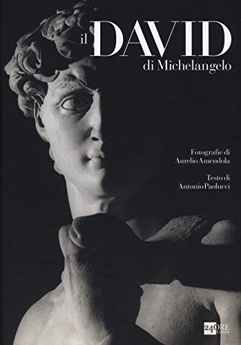 Il David di Michelangelo von 24 Ore Cultura