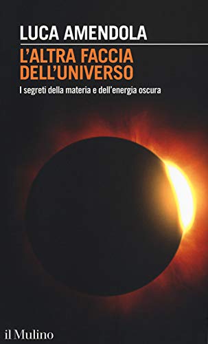 L'altra faccia dell'universo. I segreti della materia e dell'energia oscura (Intersezioni, Band 510)