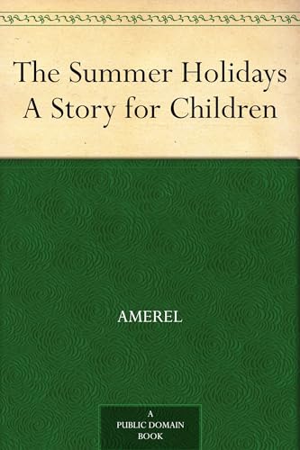 The Summer Holidays von Anson Street Press