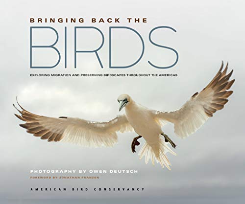 Bringing Back the Birds: Exploring Migration and Preserving Birdscapes Throughout the Americas von Mountaineers Books