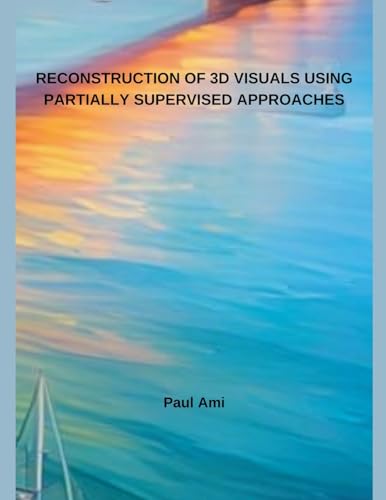 Reconstruction Of 3D Visuals Using Partially Supervised Approaches von Independent Publisher