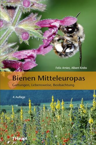 Bienen Mitteleuropas: Gattungen, Lebensweise, Beobachtung von Haupt Verlag AG