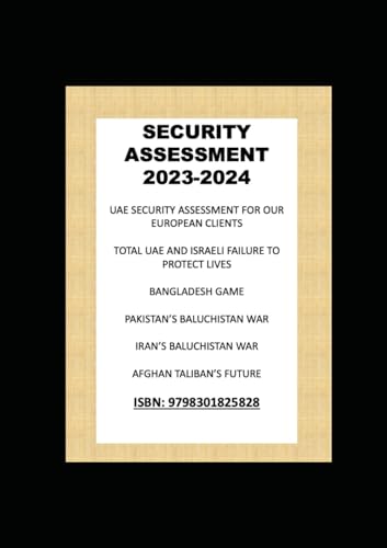 Security Assessment 2023-2024 von Independently published