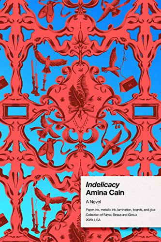 Indelicacy: A Novel