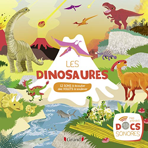 Les dinosaures von GRUND