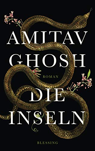 Die Inseln: Roman