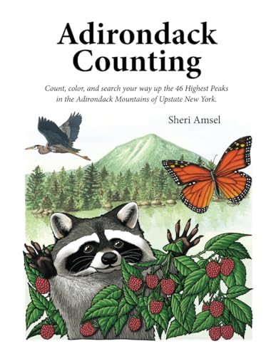 Adirondack Counting: Count, color, and search your way up the 46 Highest Peaks in the Adirondack Mountains of Upstate New York. von Independently published