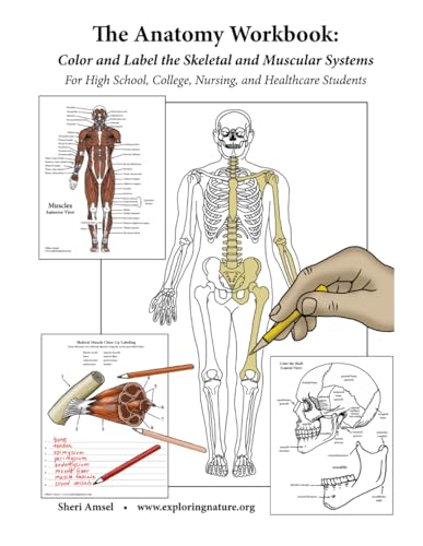 The Anatomy Workbook: Color and Label the Skeletal and Muscular Systems: For High School, College, Nursing, and Healthcare Students (The Anatomy Workbooks) von Independently published