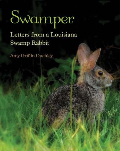 Swamper: Letters from a Louisiana Swamp Rabbit