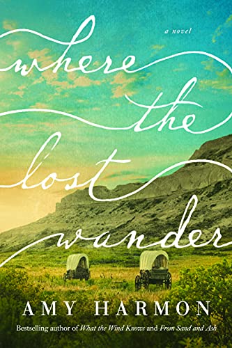 Where the Lost Wander: A Novel von Lake Union Publishing