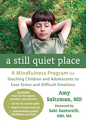 A Still Quiet Place: A Mindfulness Program for Teaching Children and Adolescents to Ease Stress and Difficult Emotions von New Harbinger