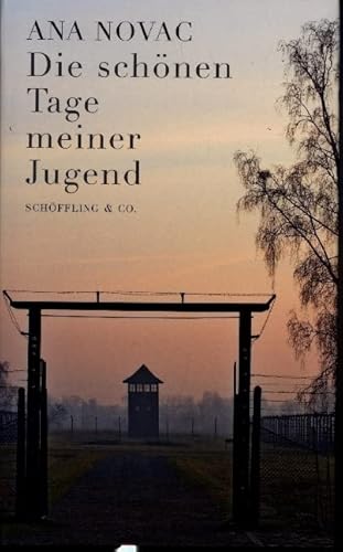 Die schönen Tage meiner Jugend Die schönen Tage meiner Jugend von Schöffling