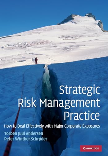 Strategic Risk Management Practice: How to Deal Effectively with Major Corporate Exposures von Cambridge University Press