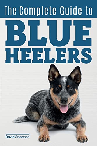 The Complete Guide to Blue Heelers - aka The Australian Cattle Dog. Learn About Breeders, Finding a Puppy, Training, Socialization, Nutrition, Grooming, and Health Care. Over 50 Pictures Included! The Complete Guide to Blue Heelers - aka The Australian Cattle Dog. Learn About Breeders, Finding a Puppy, Training, Socialization, Nutrition, Grooming, and Health Care. Over 50 Pictures Included! von CREATESPACE