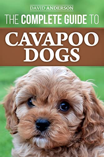 The Complete Guide to Cavapoo Dogs: Everything you need to know to successfully raise and train your new Cavapoo puppy The Complete Guide to Cavapoo Dogs: Everything you need to know to successfully raise and train your new Cavapoo puppy