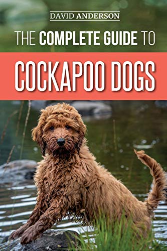 The Complete Guide to Cockapoo Dogs: Everything You Need to Know to Successfully Raise, Train, and Love Your New Cockapoo Dog
