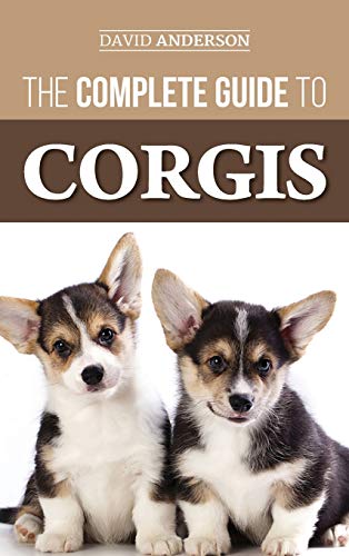 The Complete Guide to Corgis: Everything to Know About Both the Pembroke Welsh and Cardigan Welsh Corgi Dog Breeds The Complete Guide to Corgis: Everything to Know About Both the Pembroke Welsh and Cardigan Welsh Corgi Dog Breeds von LP Media Inc.