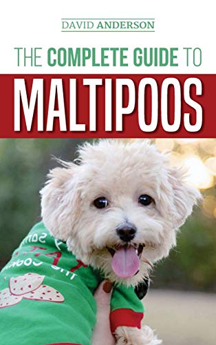 The Complete Guide to Maltipoos: Everything you need to know before getting your Maltipoo dog The Complete Guide to Maltipoos: Everything you need to know before getting your Maltipoo dog von LP Media Inc.