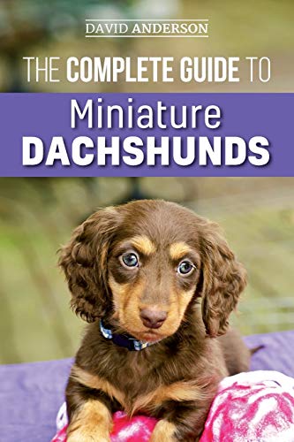 The Complete Guide to Miniature Dachshunds: A step-by-step guide to successfully raising your new Miniature Dachshund The Complete Guide to Miniature Dachshunds: A step-by-step guide to successfully raising your new Miniature Dachshund