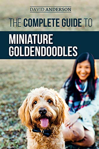 The Complete Guide to Miniature Goldendoodles: Learn Everything about Finding, Training, Feeding, Socializing, Housebreaking, and Loving Your New Miniature Goldendoodle Puppy The Complete Guide to Miniature Goldendoodles: Learn Everything about Finding, Training, Feeding, Socializing, Housebreaking, and Loving Your New Miniature Goldendoodle Puppy