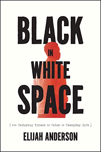 Black in White Space: The Enduring Impact of Color in Everyday Life von University of Chicago Press