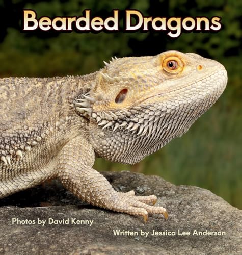 Bearded Dragons von Ao Press