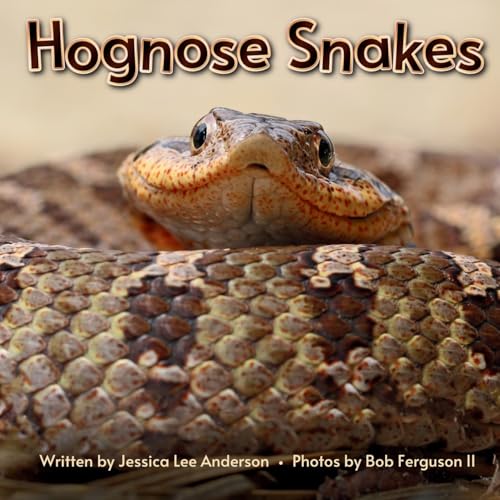 Hognose Snakes (Fascinature Books for Young Readers) von AO Press