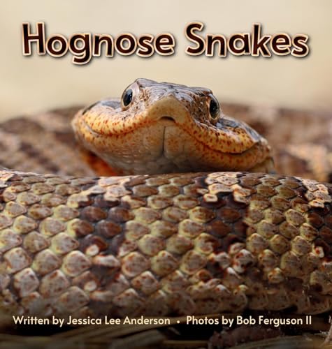 Hognose Snakes von AO Press