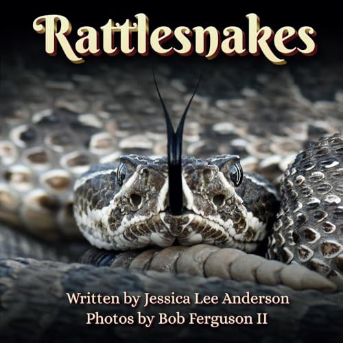 Rattlesnakes (Fascinature Books for Young Readers) von AO Press