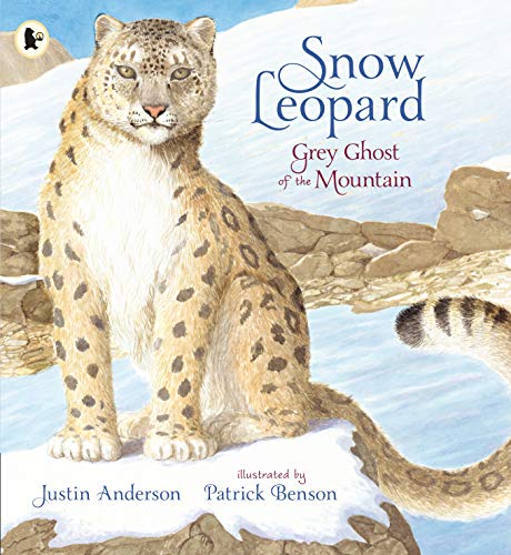Snow Leopard: Grey Ghost of the Mountain (Nature Storybooks) von WALKER BOOKS