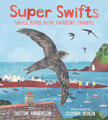 Super Swifts: Small Birds with Amazing Powers von Candlewick Press