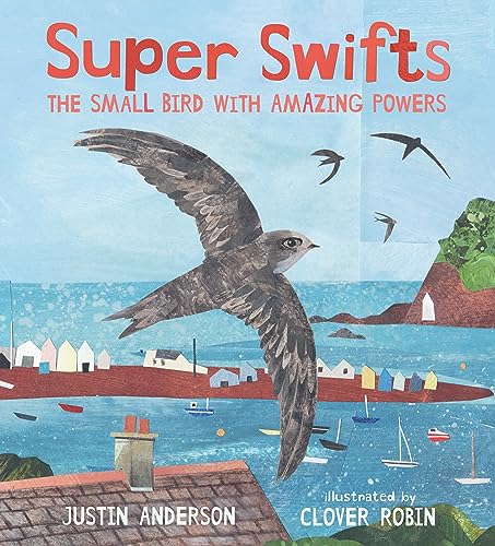 Super Swifts: The Small Bird With Amazing Powers (Nature Storybooks)