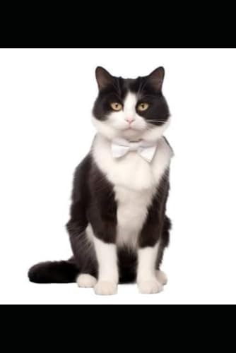Detective Whiskers Detective Whiskers von Independently published